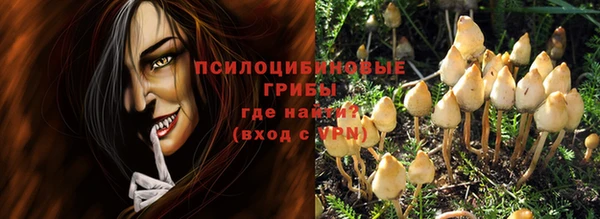 прущий лед Аша