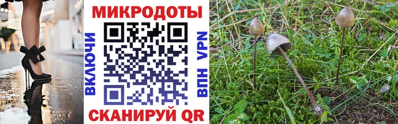 Псилоцибиновые грибы мицелий  Партизанск 